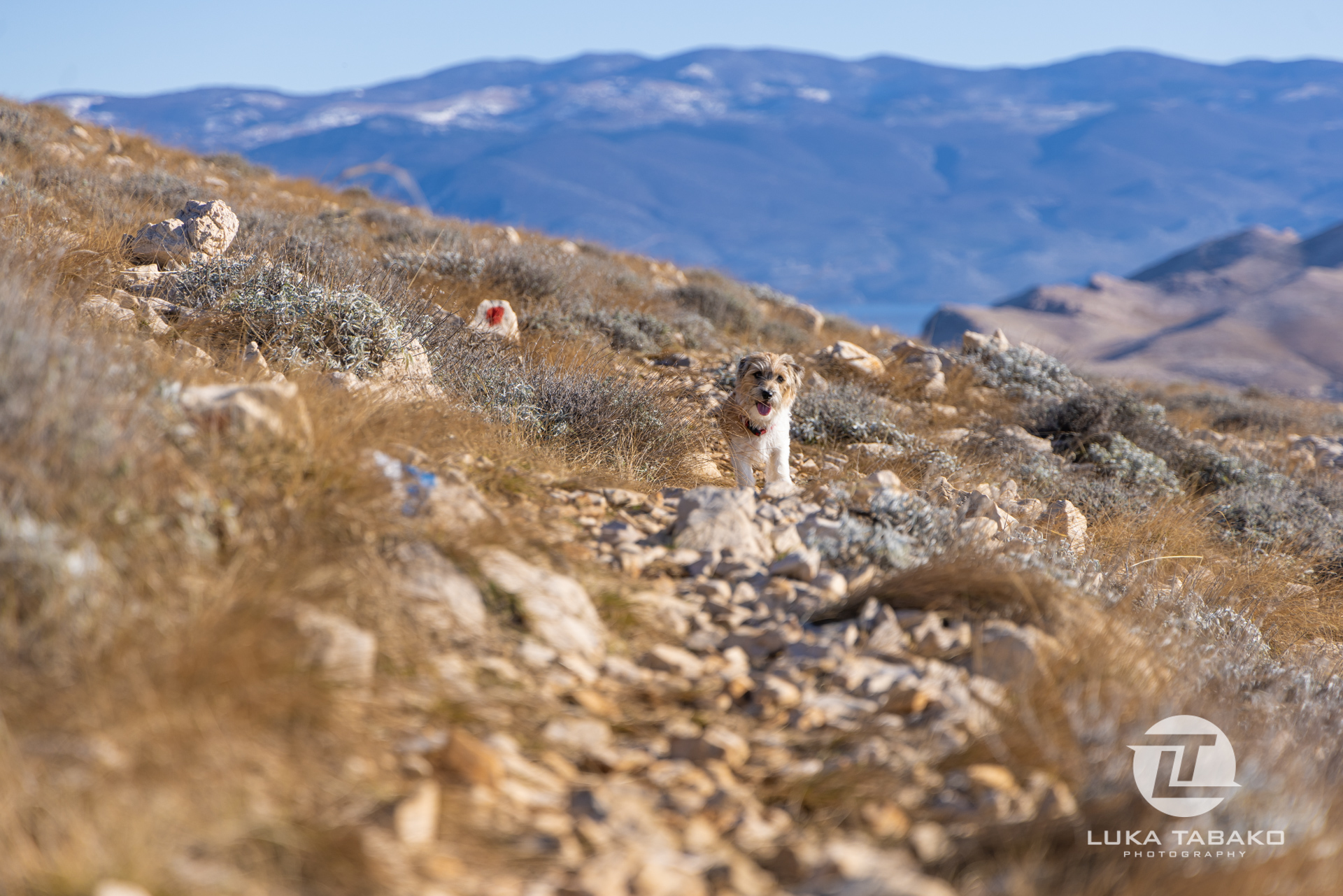 pješačka-staza-baška-stara-baška-luka-tabako-photography (120)
