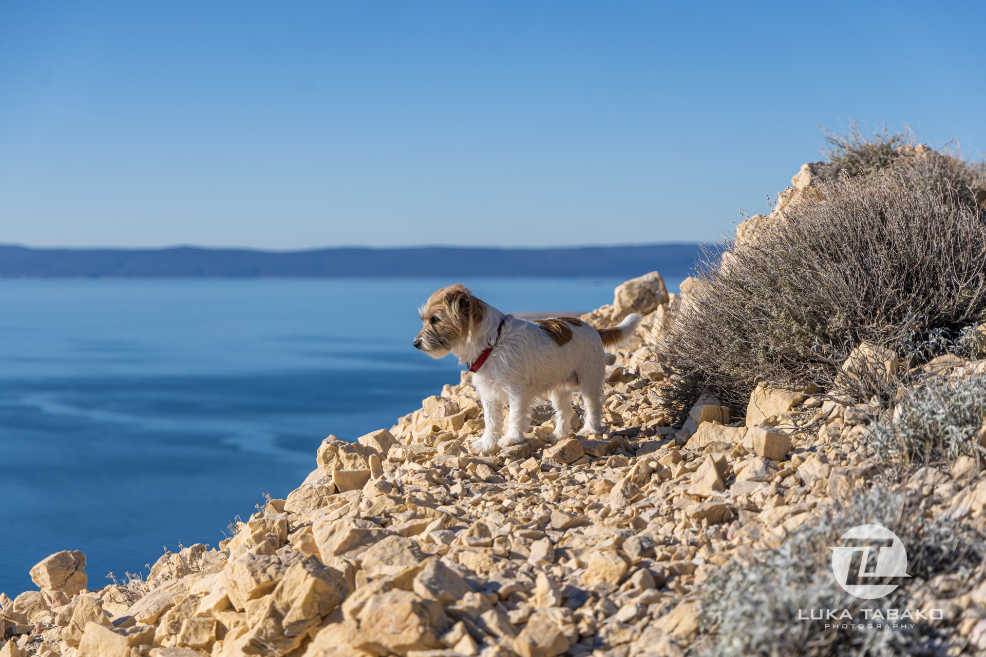 pješačka-staza-baška-stara-baška-luka-tabako-photography (130)