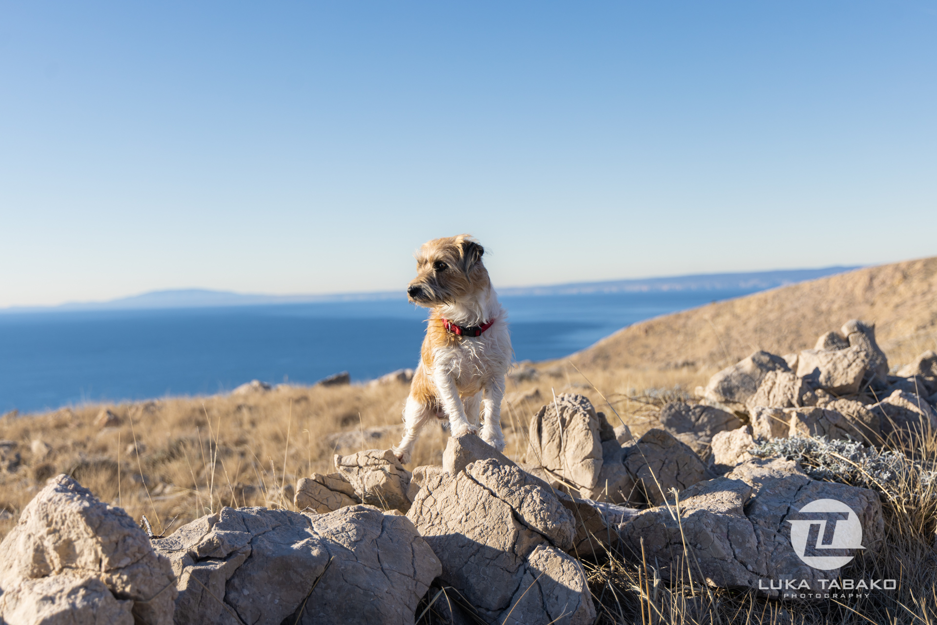 pješačka-staza-baška-stara-baška-luka-tabako-photography (39)