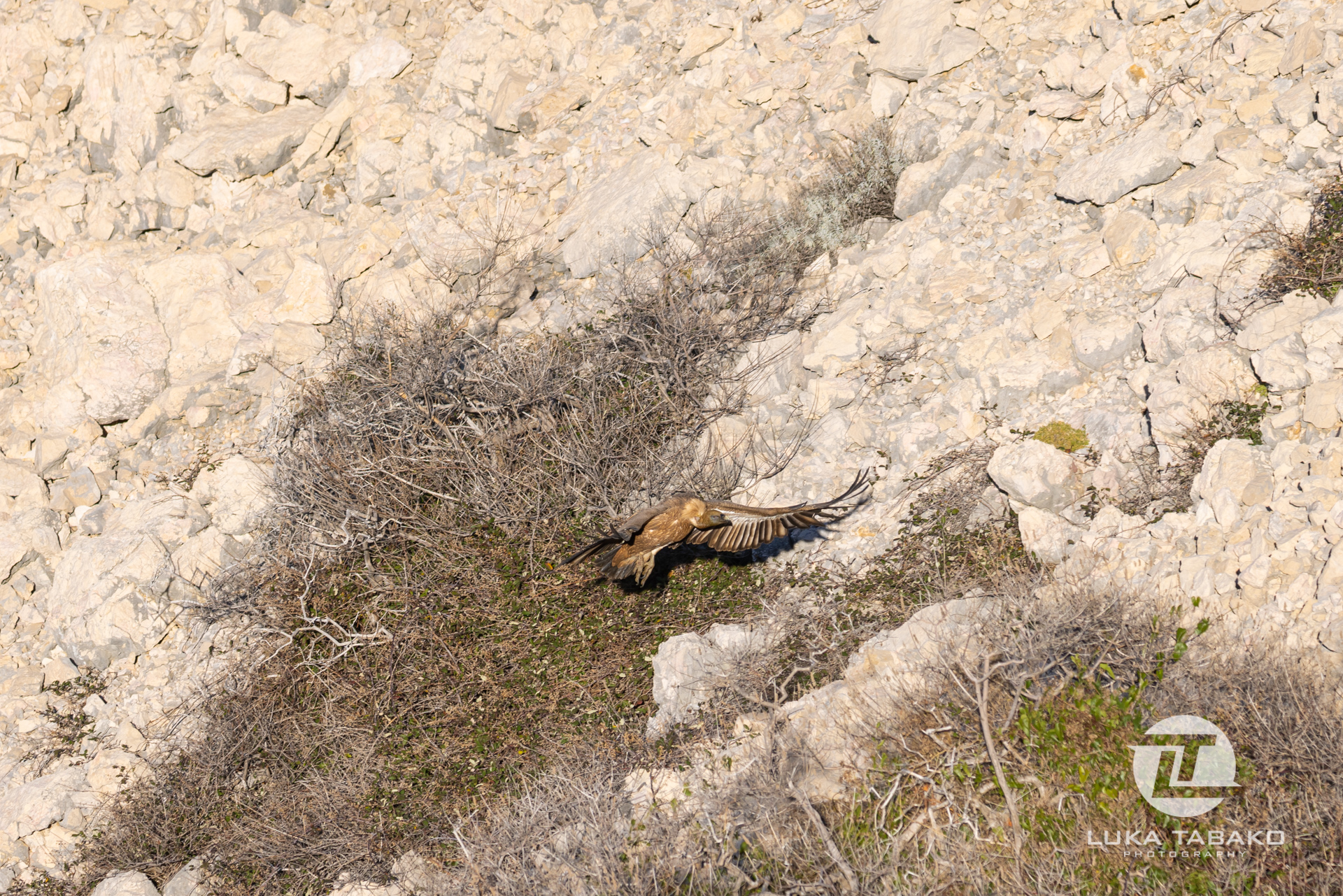 pješačka-staza-baška-stara-baška-luka-tabako-photography (43)