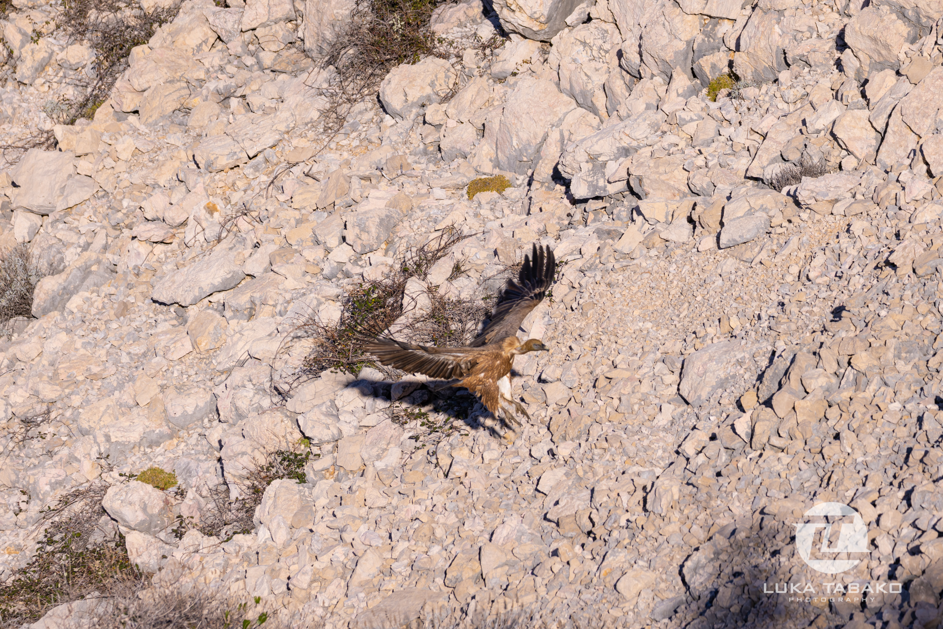 pješačka-staza-baška-stara-baška-luka-tabako-photography (45)