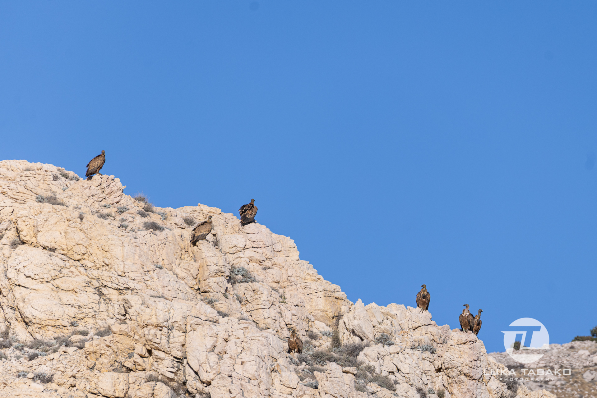 pješačka-staza-baška-stara-baška-luka-tabako-photography (51)