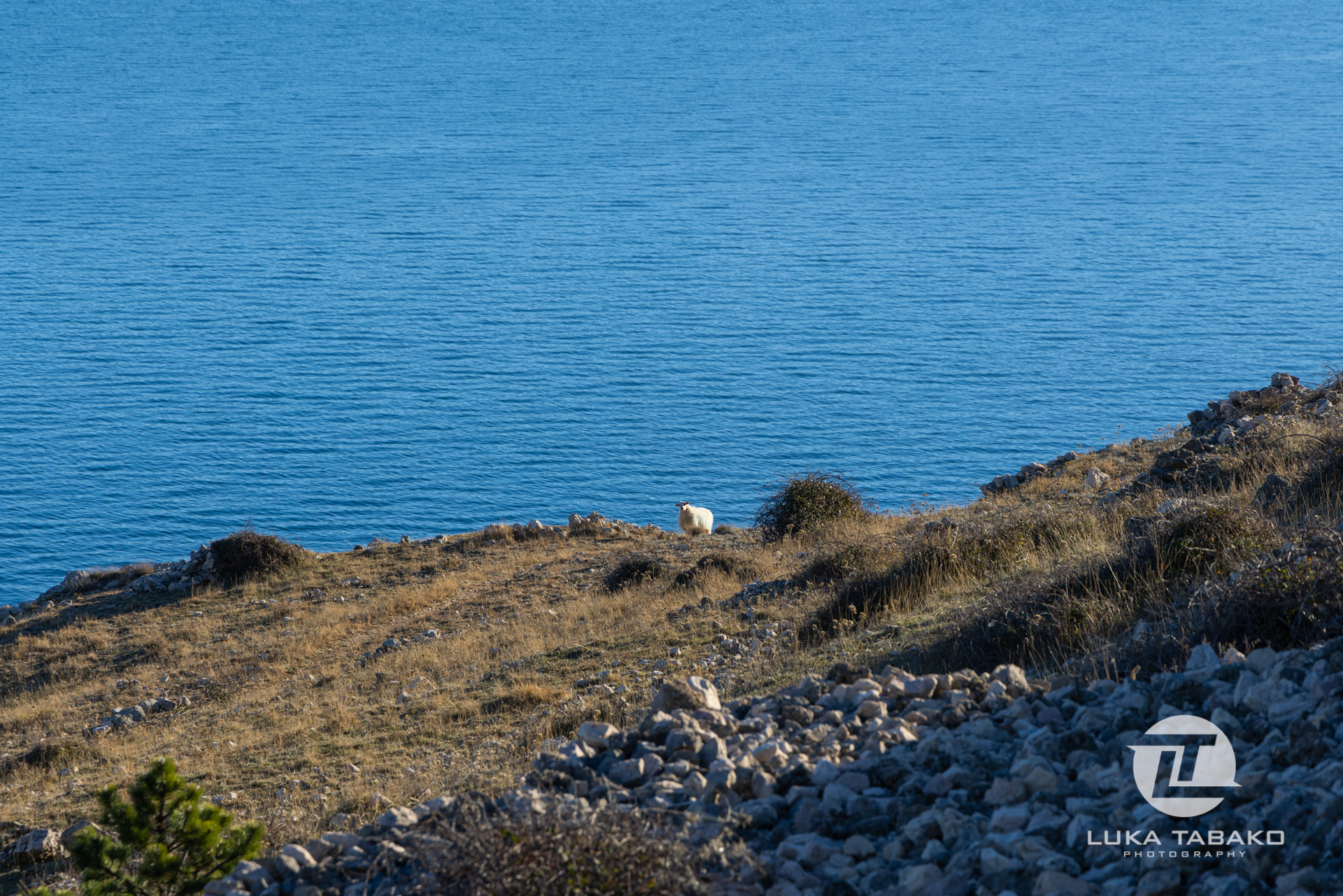 pješačka-staza-baška-stara-baška-luka-tabako-photography (6)