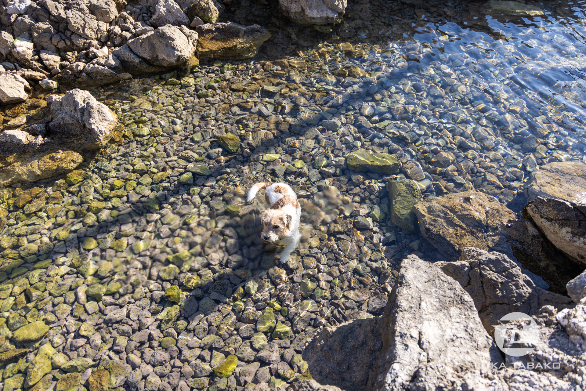 pješačka-staza-baška-stara-baška-luka-tabako-photography (66)