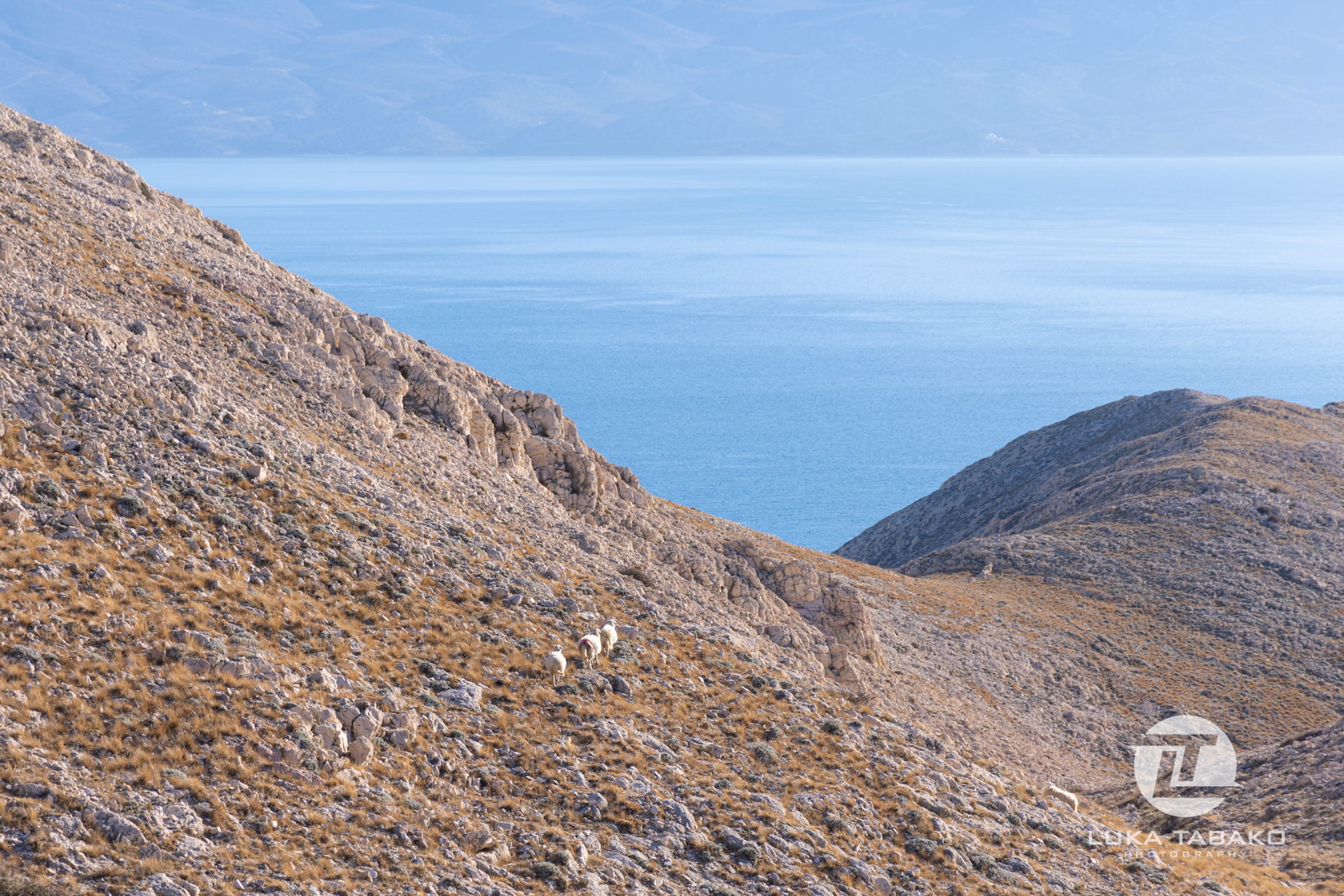 pješačka-staza-baška-stara-baška-luka-tabako-photography (7)