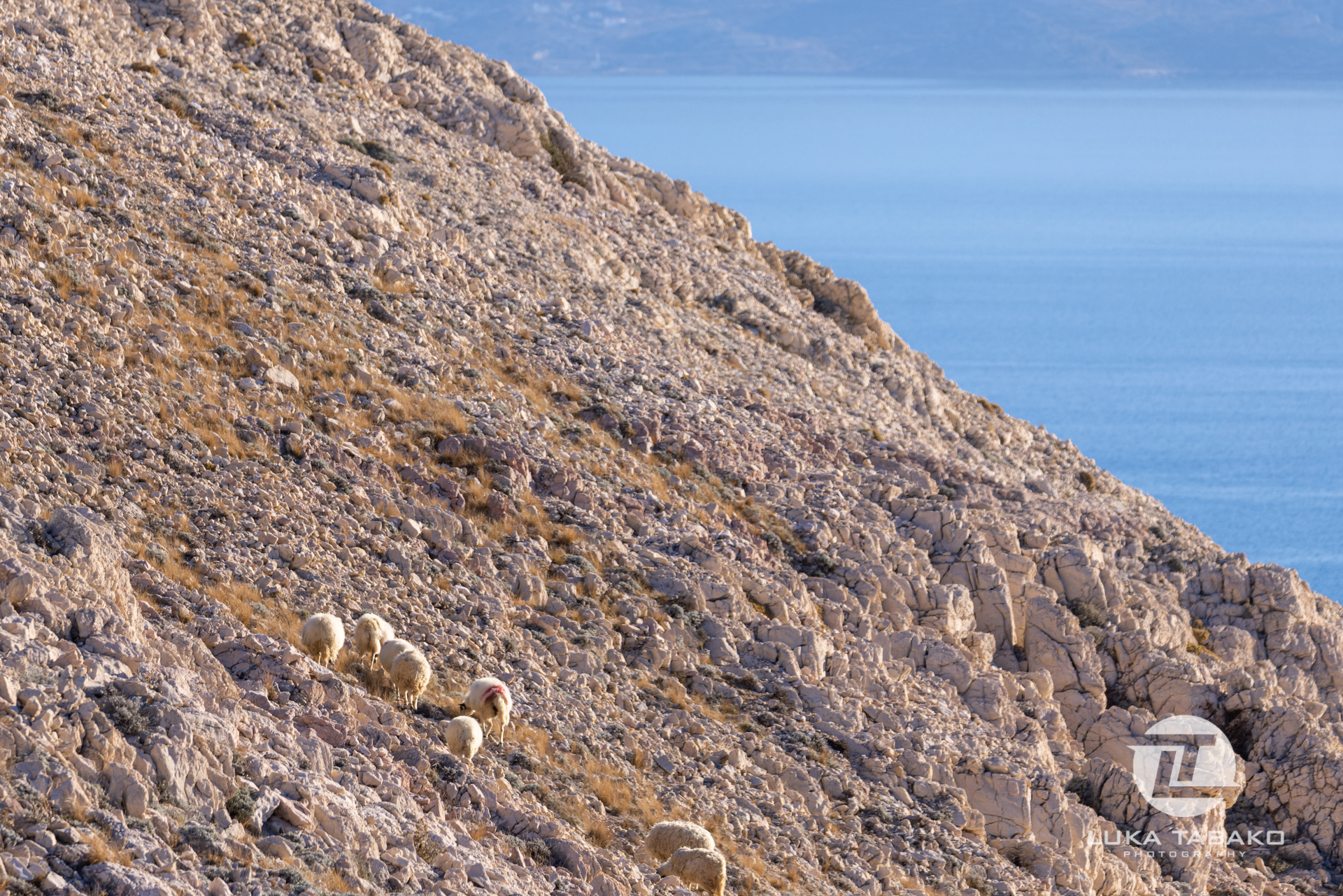 pješačka-staza-baška-stara-baška-luka-tabako-photography (9)